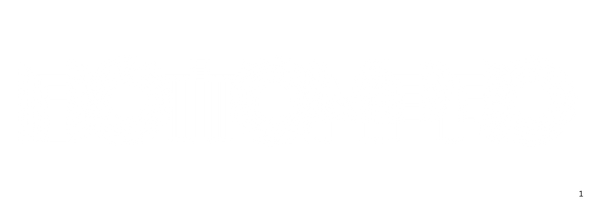 BottomPro
